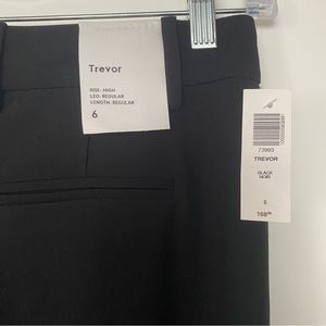 BNWT Aritzia Black pant in size 6